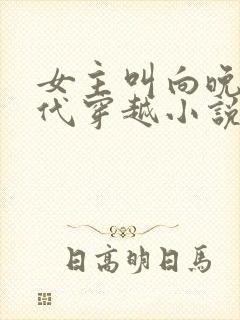 女主叫向晚的古代穿越小说