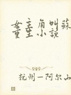 女主角叫苏离的重生小说