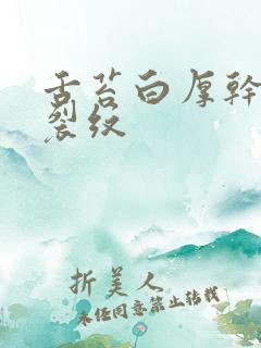 舌苔白厚干燥有裂纹