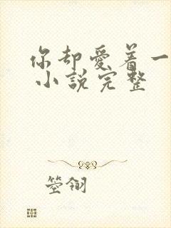 你却爱着一个他 小说完整