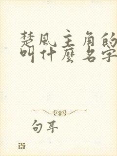 楚风主角的小说叫什么名字