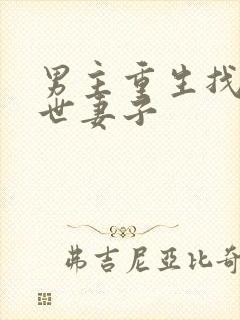 男主重生找到前世妻子