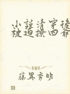 小说清穿后每天被迫撩四爷全文阅读