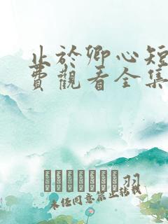 止于卿心短剧免费观看全集高清版