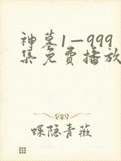 神墓1—999集免费播放