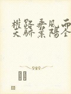 权路乘风而起化天骄叶阳全文小说