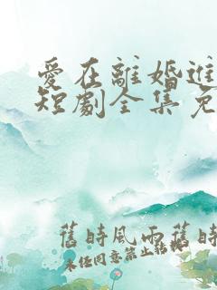 爱在离婚进行时短剧全集免费播放