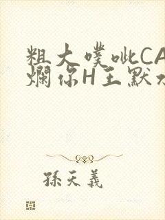 粗大噗呲CAO烂你H王默水王子