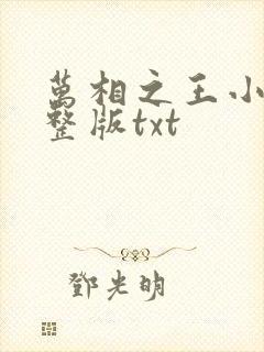 万相之王小说完整版txt