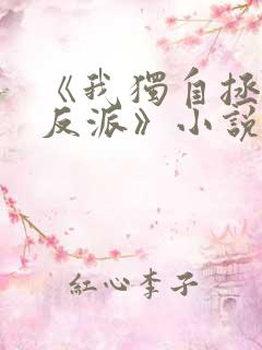 《我独自拯救女反派》小说