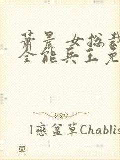 萧晨 女总裁的全能兵王免费阅读