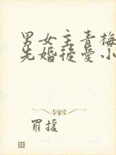 男女主青梅竹马先婚后爱小说