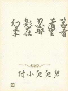 幻影忍者第16季在哪里看?