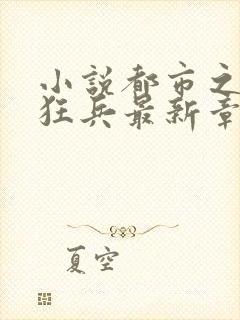 小说都市之最强狂兵最新章节