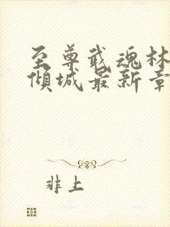 至尊武魂林凡舞倾城最新章节