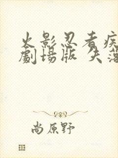 火影忍者疾风传剧场版 失落之塔