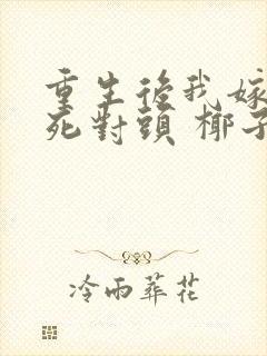 重生后我嫁给了死对头 椰子絮