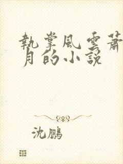 执掌风云萧峥小月的小说