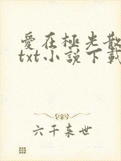 爱在极光散落时txt小说下载