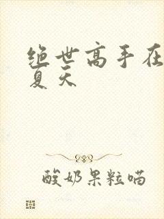 绝世高手在都市夏天