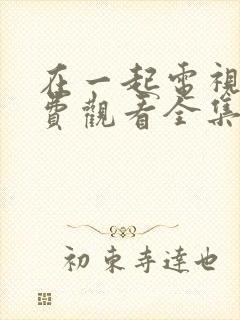 在一起电视剧免费观看全集完整版