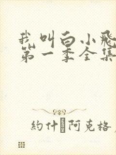 我叫白小飞动漫第一季全集免费观看