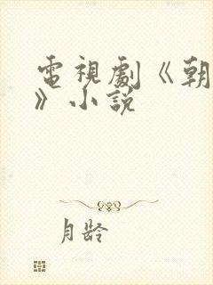 电视剧《朝雪录》小说