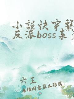 小说快穿系统之反派boss来袭