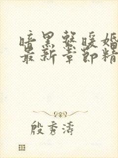 暗黑系暖婚小说最新章节精校版