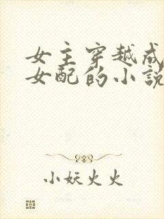 女主穿越成恶毒女配的小说