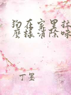 狗在家里拉尿怎么样消除味道