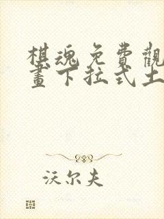 棋魂免费观看漫画下拉式土豪漫画