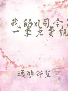 我的xl司令第一季免费观看