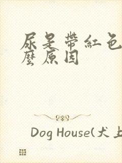 尿是带红色是什么原因