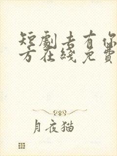 短剧去有你的地方在线免费观看