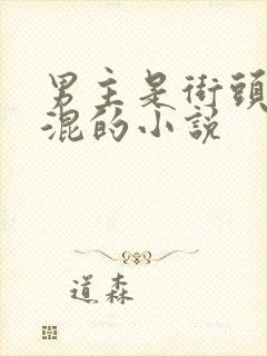 男主是街头小混混的小说