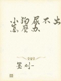 小狗尿不出尿来怎么办