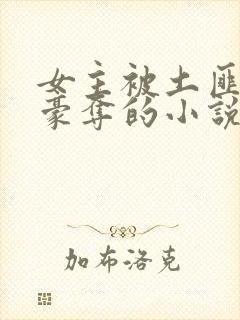 女主被土匪强取豪夺的小说