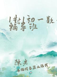 1对1初一数学辅导班