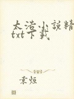 太浩小说精校版txt下载