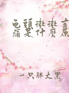 龟头微微有点胀痛是什么原因