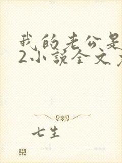 我的老公是冥王2小说全文免费阅读