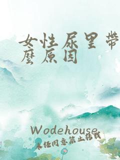 女性尿里带血什么原因