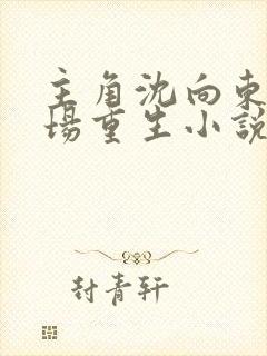 主角沈向东的官场重生小说