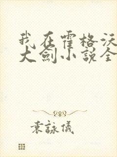 我在霍格沃茨抡大剑小说全集