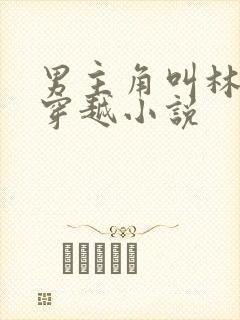 男主角叫林渊的穿越小说