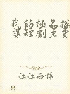 我的极品总裁老婆短剧免费高清完整版