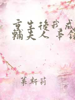 重生后我成了首辅夫人 辛录