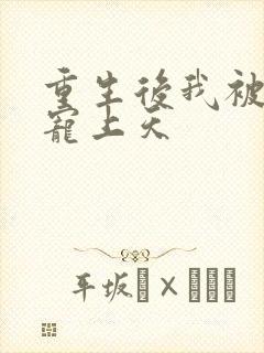 重生后我被情敌宠上天