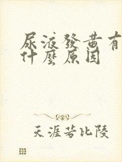 尿液发黄有味是什么原因